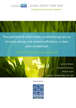 The potential of smart meter enabled programs to increase energy