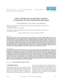 DEPTH DISTRIBUTION OF BACTERIAL DIVERSITY IN LAB SCALE