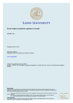 On the origins of physical cognition in corvids