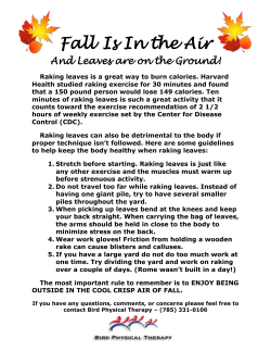 Raking Leaves - Bird Physical Therapy