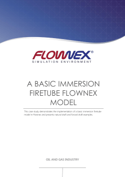 A BASIC IMMERSION FIRETUBE FLOWNEX MODEL