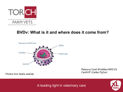 here - Exmoor Hill Farming Network