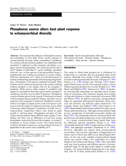 Phosphorus source alters host plant response to ectomycorrhizal