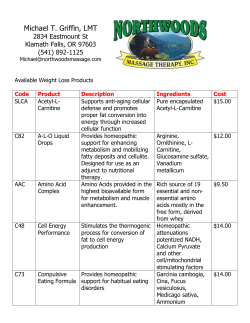 Code Product Description Ingredients Cost
