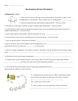 Biochemistry Review Worksheet