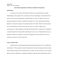 Robert Kim WRIT 340 &ndash; Prof. Ramsey Shark Skin: Inspiration for