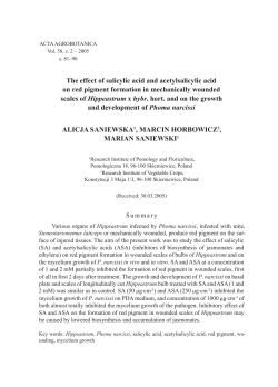 The effect of salicylic acid and acetylsalicylic acid on red pigment
