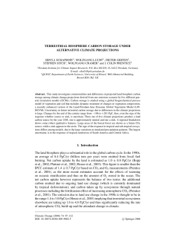 TERRESTRIAL BIOSPHERE CARBON STORAGE UNDER