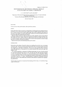 differences between spring wheat cultivars in early growth