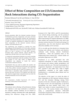 Effect of Brine Composition on CO2/Limestone Rock
