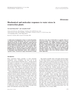 Biochemical and molecular responses to water stress in