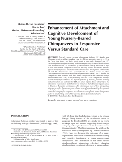 Enhancement of attachment and cognitive development of young