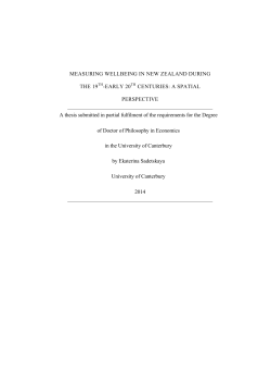 measuring wellbeing in new zealand during the 19th