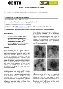Bacteriophage infecting ubiquitous and abundant plant