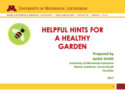 Healthy Soil = Healthy Plants Healthy Soil HINT