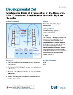 Extended PDF