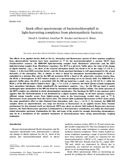 Stark effect spectroscopy of bacteriochlorophyll in light