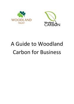 A Guide to Woodland Carbon for Business