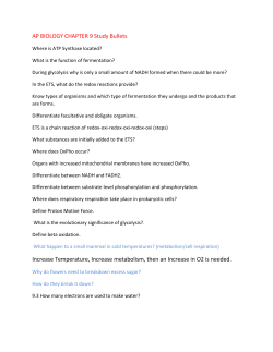 AP Chapter 9 Study Bullets