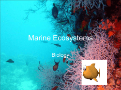 Marine Ecosystems