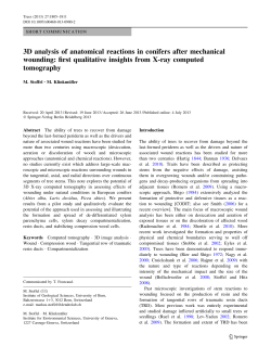 3D analysis of anatomical reactions in conifers after mechanical