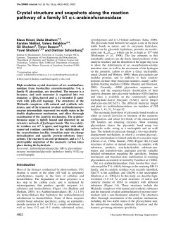 Crystal structure and snapshots along the reaction pathway of a