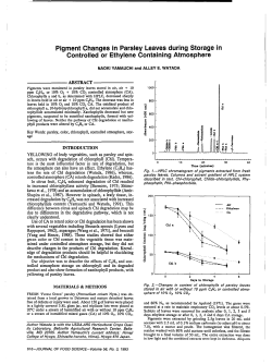 Pigment Changes in Parsley Leaves during Storage in Controlled or