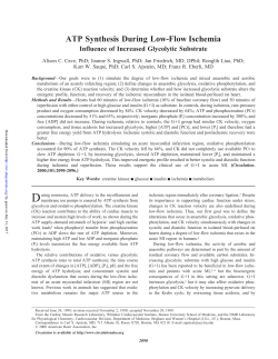 ATP Synthesis During Low-Flow Ischemia