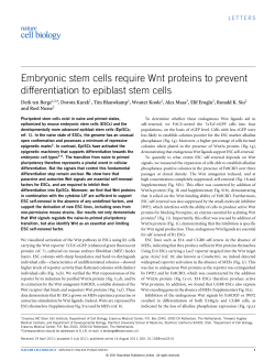 Embryonic stem cells require Wnt proteins to prevent differentiation