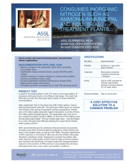 Ammonia Reducing Bacteria - A55L