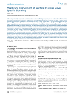 Membrane Recruitment of Scaffold Proteins Drives Specific Signaling
