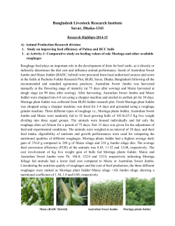 Moringa plants fodder - Bangladesh Livestock Research Institute