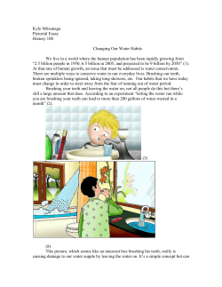 History pic essay - HIST 100: Engineering The Past