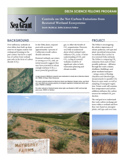 Controls on the Net Carbon Emissions from Restored Wetland
