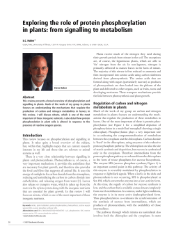 Exploring the role of protein phosphorylation in plants