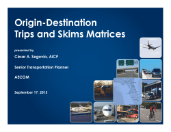 Origin-Destination Trips and Skims Matrices