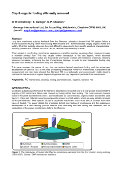 Mipsch Pizua Zichpik Gis CUZIC-Ipszizuz szillz siip Paojikz