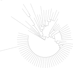 Supplemental Figure 5 Sample 31