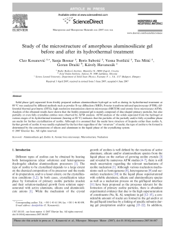 Study of the microstructure of amorphous aluminosilicate gel before