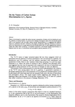 On the Nature of Carbon Isotope Discrimination in C4 Species
