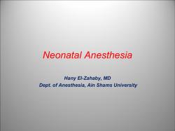 Neonatal Anesthesia - Ain Shams University