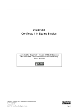 Certificate II in Equine Studies * 22246VIC