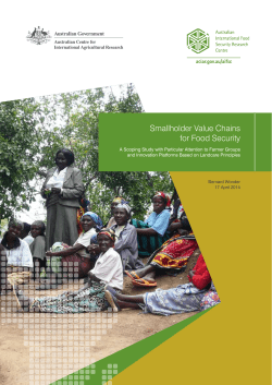 Smallholder Value Chains for Food Security
