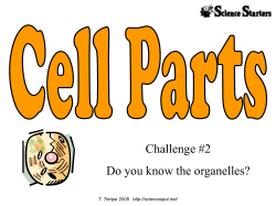 Cell Labeling - Catawba County Schools