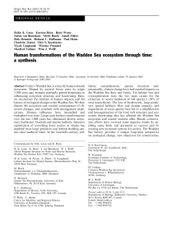 Human transformations of the Wadden Sea ecosystem