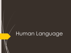 Human Language