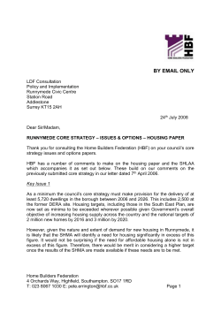 Runnymede Core Strategy Issues Options Consultation July 2008