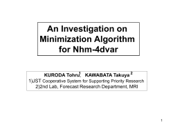 Nhm-4dvarの評価関数最小化の検討