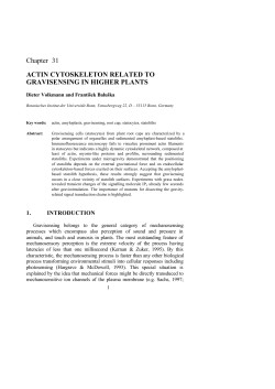 Chapter 31 ACTIN CYTOSKELETON RELATED