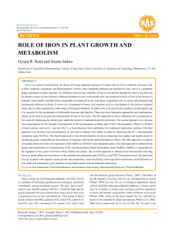 role of iron in plant growth and metabolism